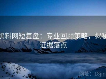 黑料网短复盘：专业回顾策略，揭秘证据落点
