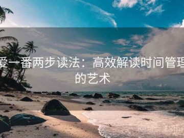 爱一番两步读法：高效解读时间管理的艺术