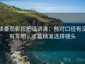 读番茄影视把话讲清：核对口径有没有写明，才能精准选择镜头