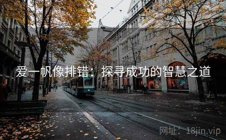 爱一帆像排错：探寻成功的智慧之道