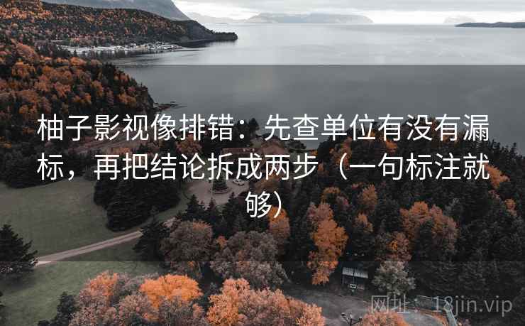 柚子影视像排错：先查单位有没有漏标，再把结论拆成两步（一句标注就够）