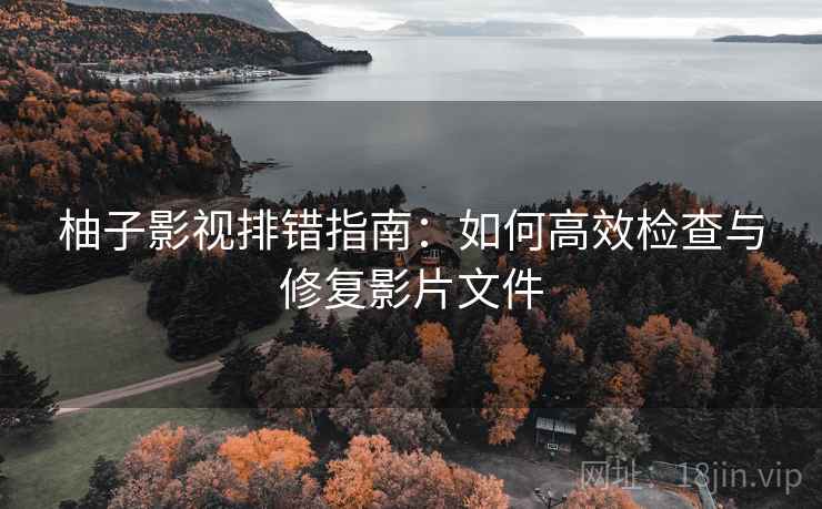 柚子影视排错指南:如何高效检查与修复影片文件 柚子影视排错指南:如何高效检查与修复影片文件